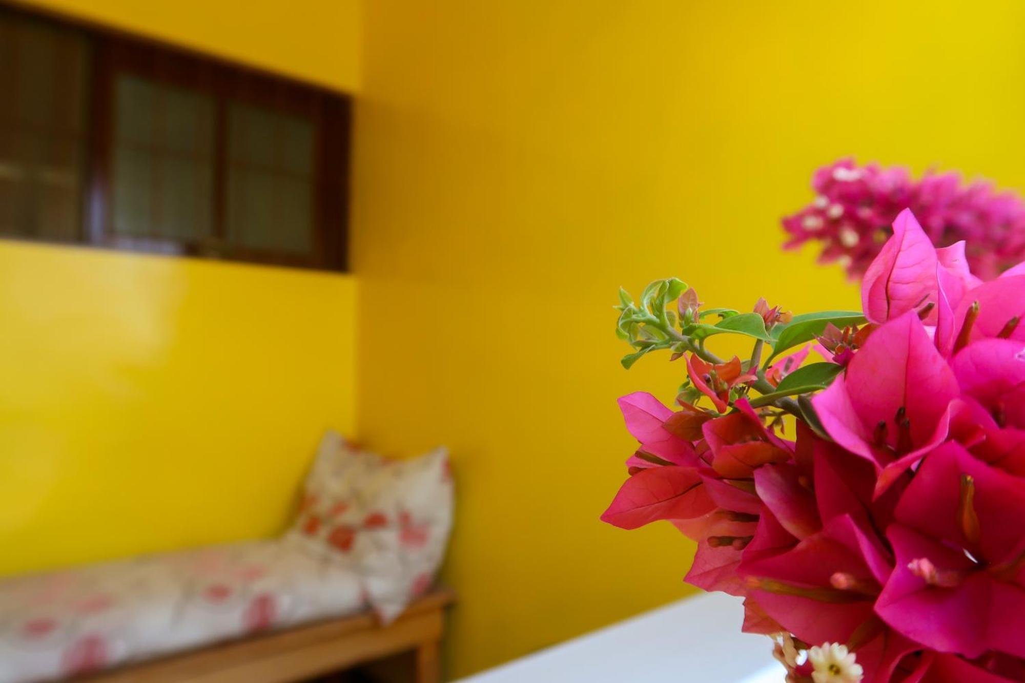 O Jardim Do Vinho, Ac Bed & Breakfast Praia Luaran gambar